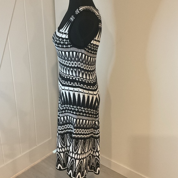 Milly Geometric Print Stretchy Knit Sleeveless  Dress with rose gold  Zipper. - Picture 4 of 10